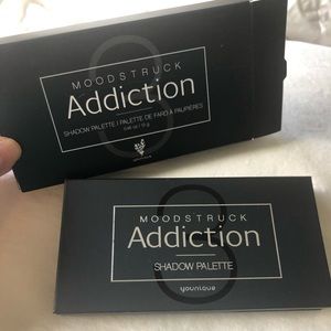 Moodstruck addiction pallet 3 by younique.